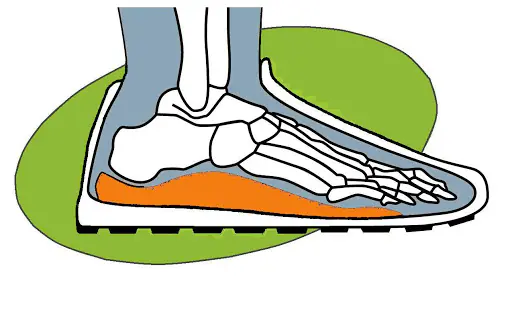 Illustration of the foot bones inside a shoe, with an orange orthotic under the arch